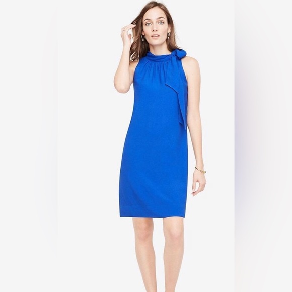 NWT ANNE TAYLOR BLUE SHIFT DRESS Women | Color: Blue | Size: 10P - 10 Petite - Picture 1 of 7